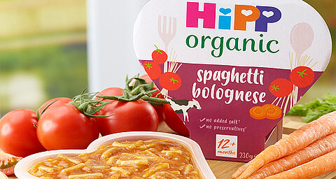 HiPP Organic Toddler Tray Meal