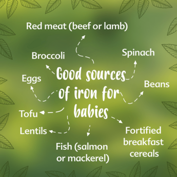 Sources of Iron for baby