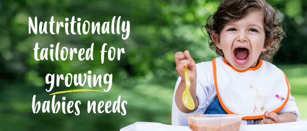 HiPP Organic Toddler Meals