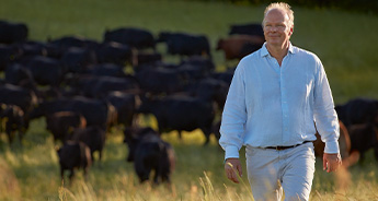 Stefan HiPP walking in a field with cows
